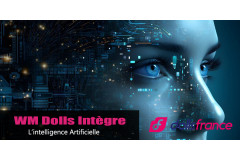 WMDolls intègre l'intelligence artificielle: un grand pas en avant pour l'univers des sexdolls